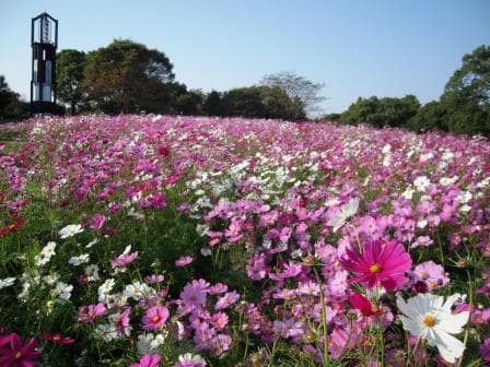 Kumamoto City Zoological and Botanical Gardens