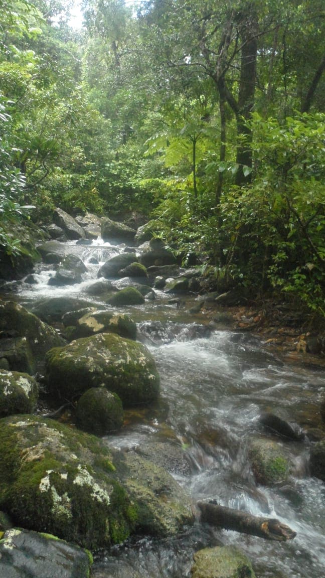 Masoala National Park