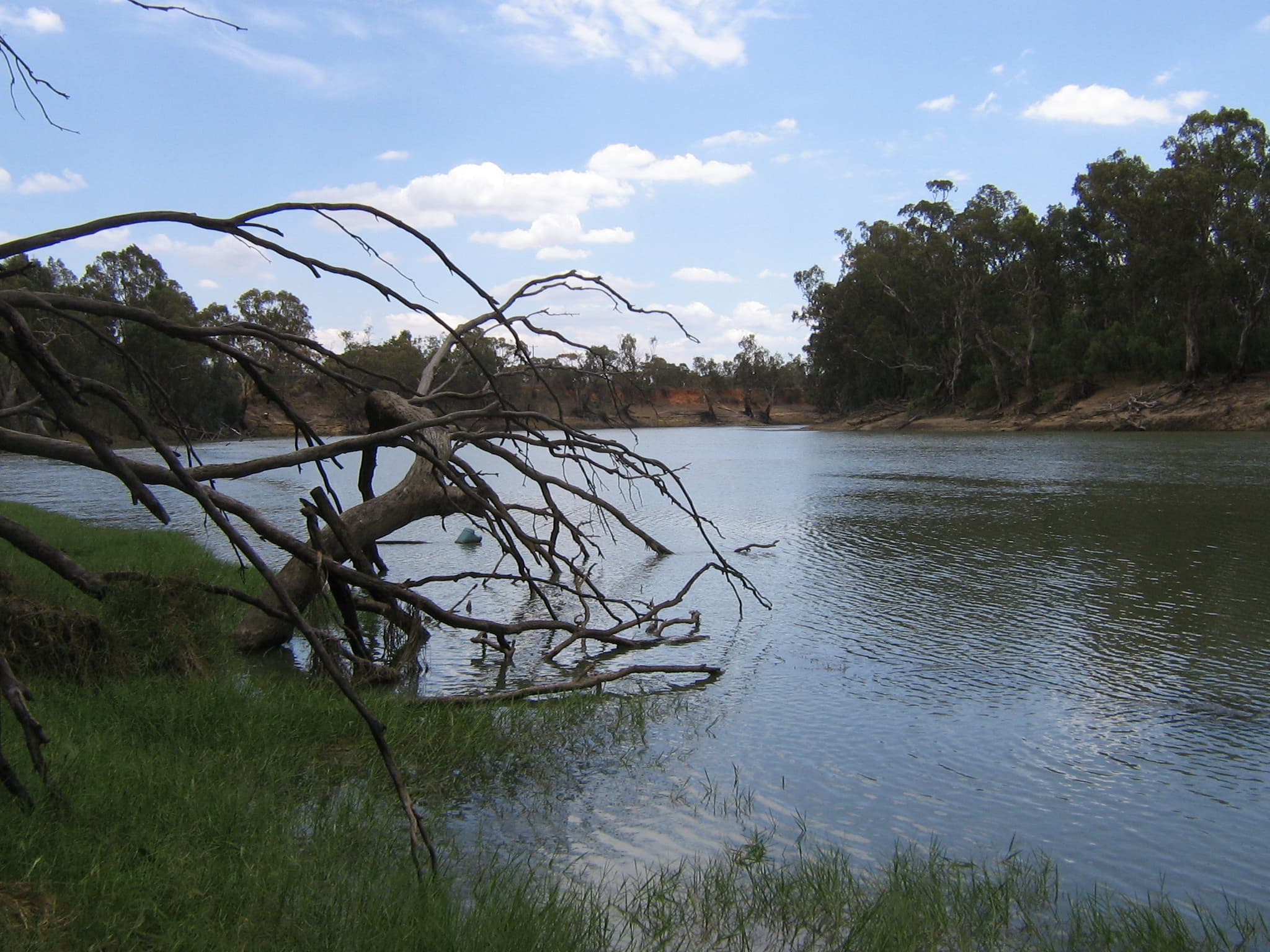 Murray River
