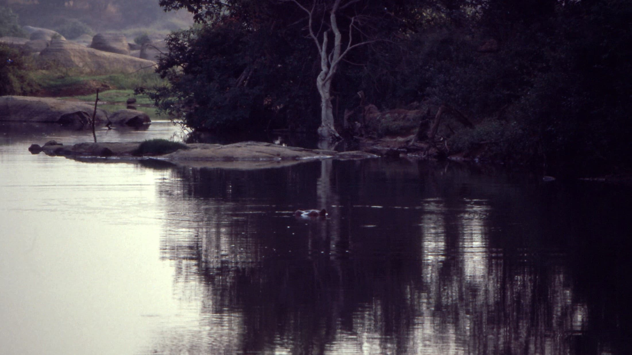 Comoé National Park