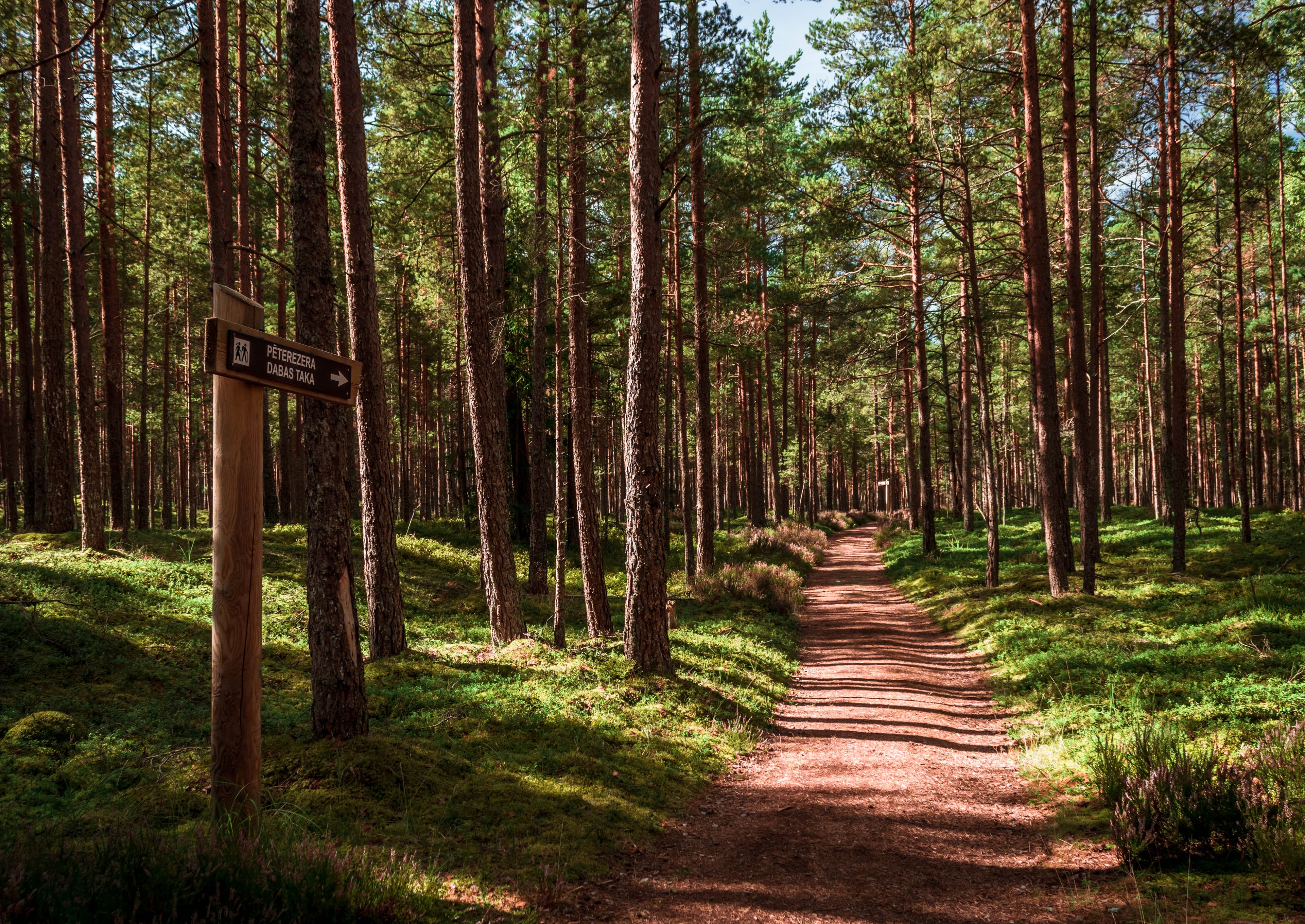 Slītere National Park