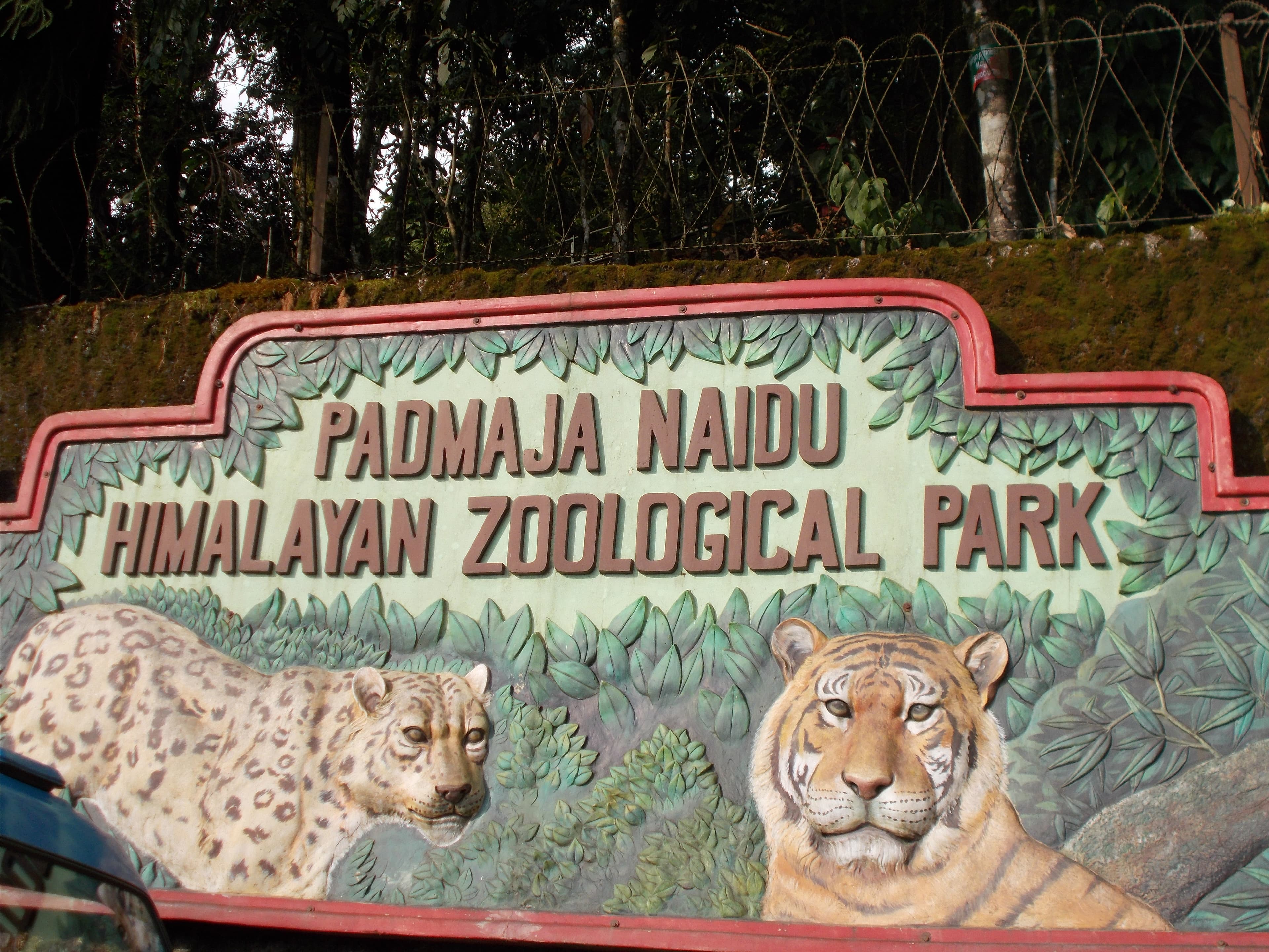 Padmaja Naidu Himalayan Zoological Park