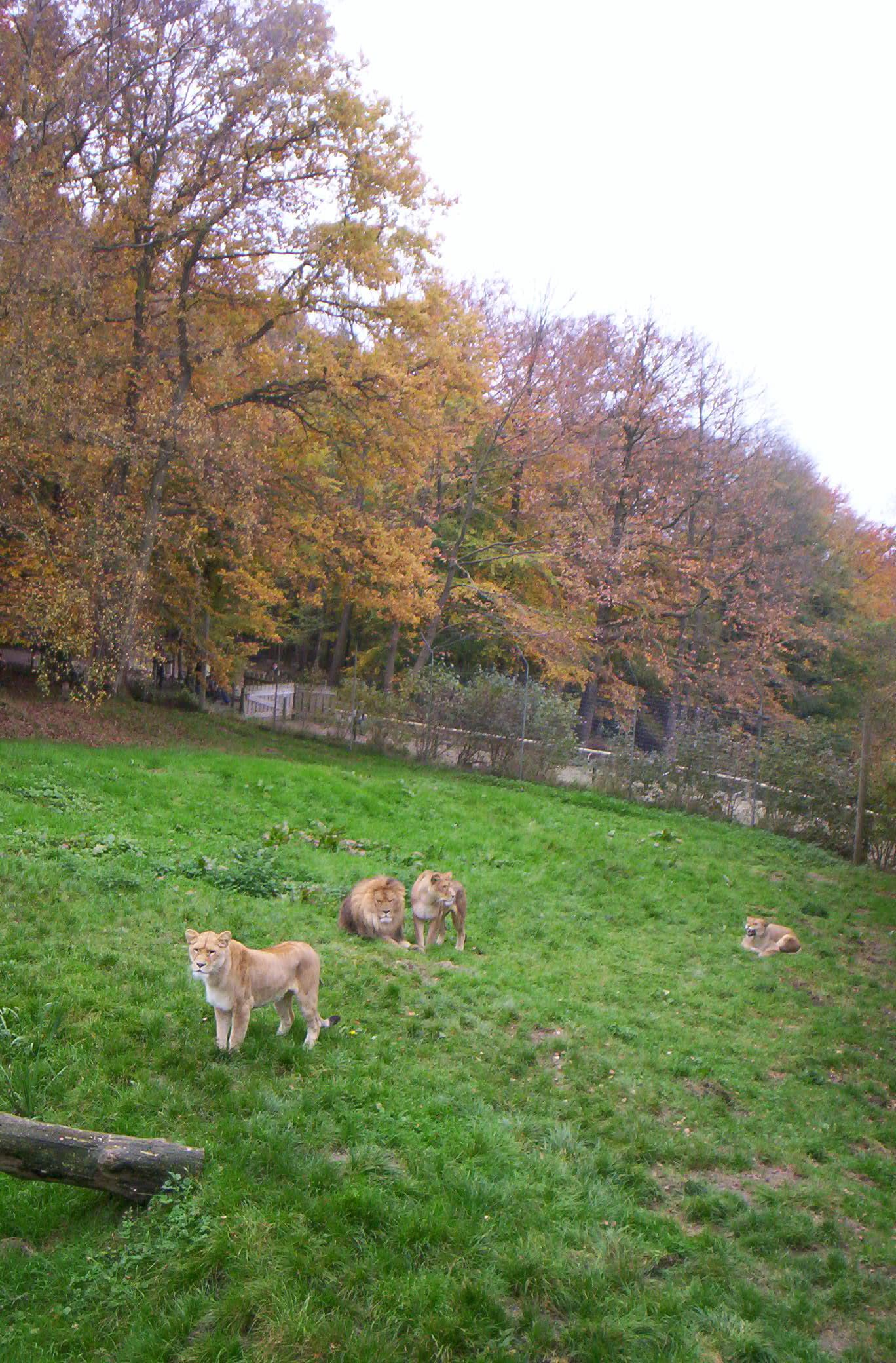 Parc zoologique de Lisieux