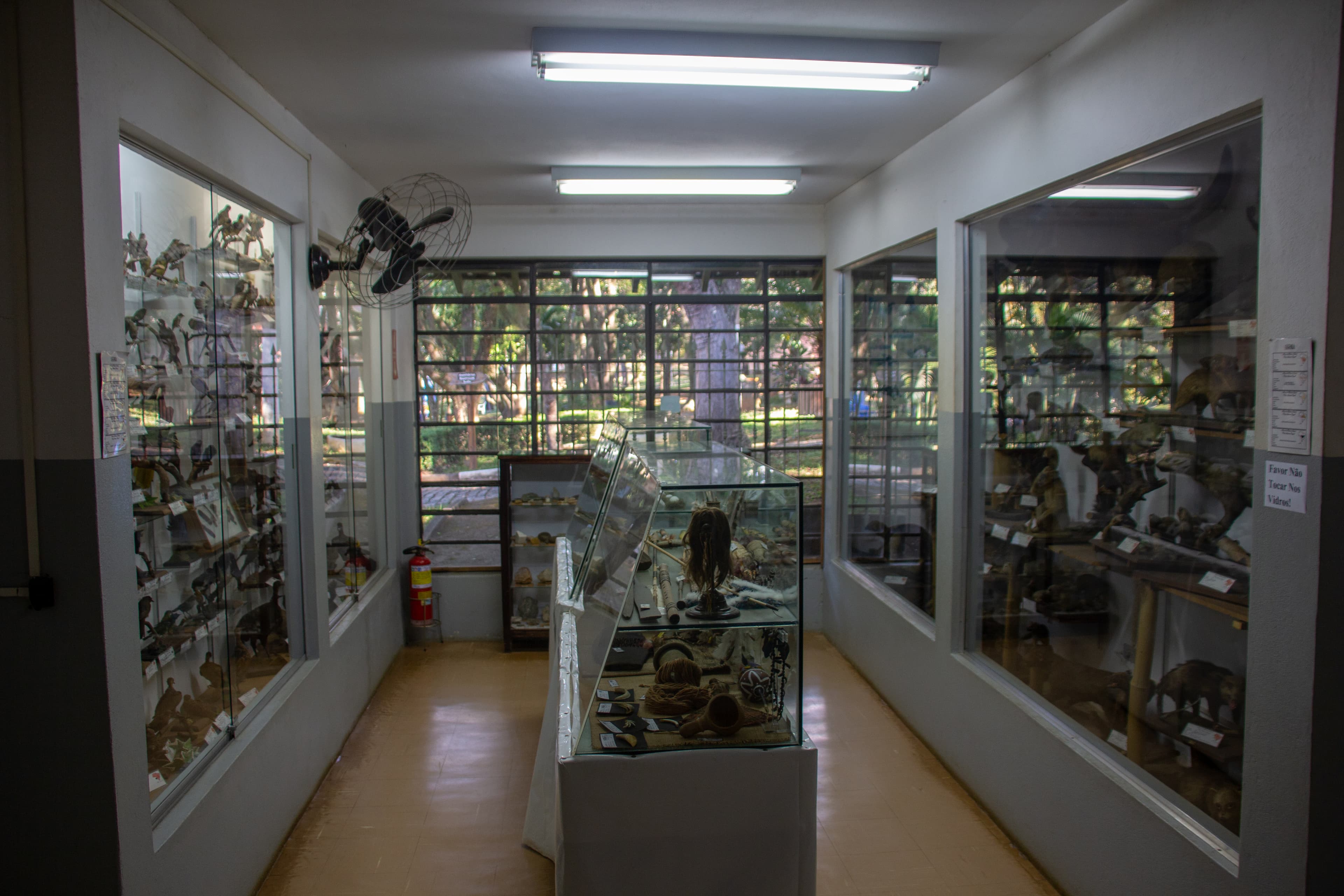 Museu de História Natural Professor Antônio Pergola