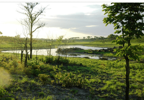 Bicuari National Park