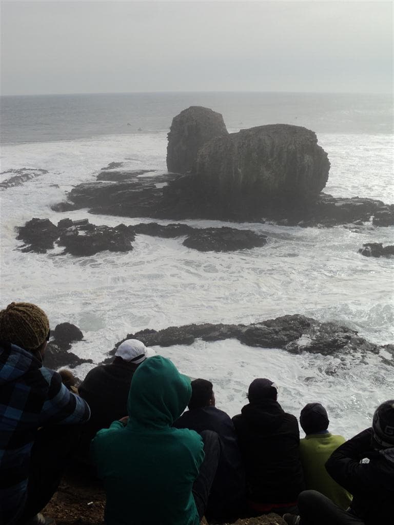 Punta de Lobos