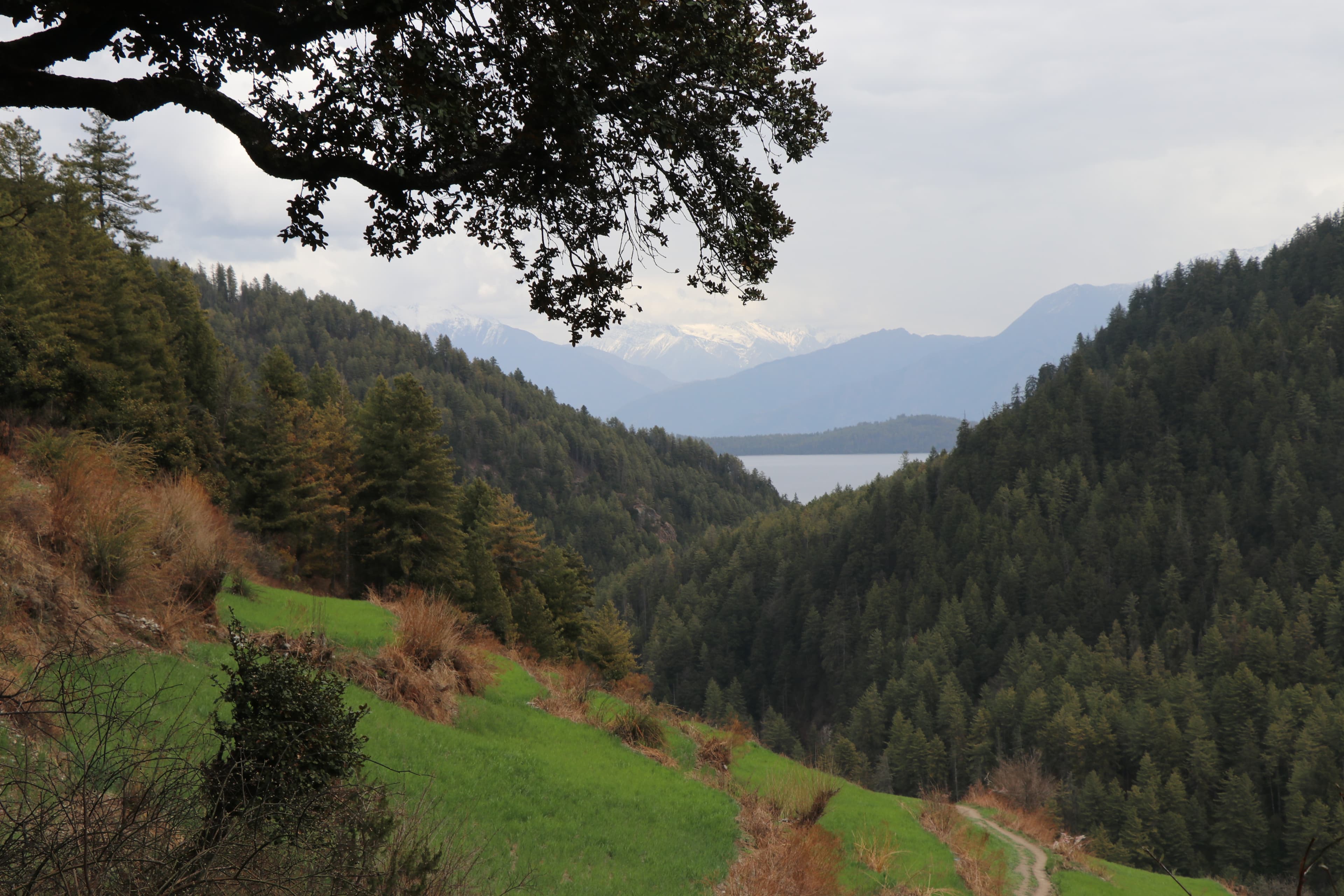 Rara National Park