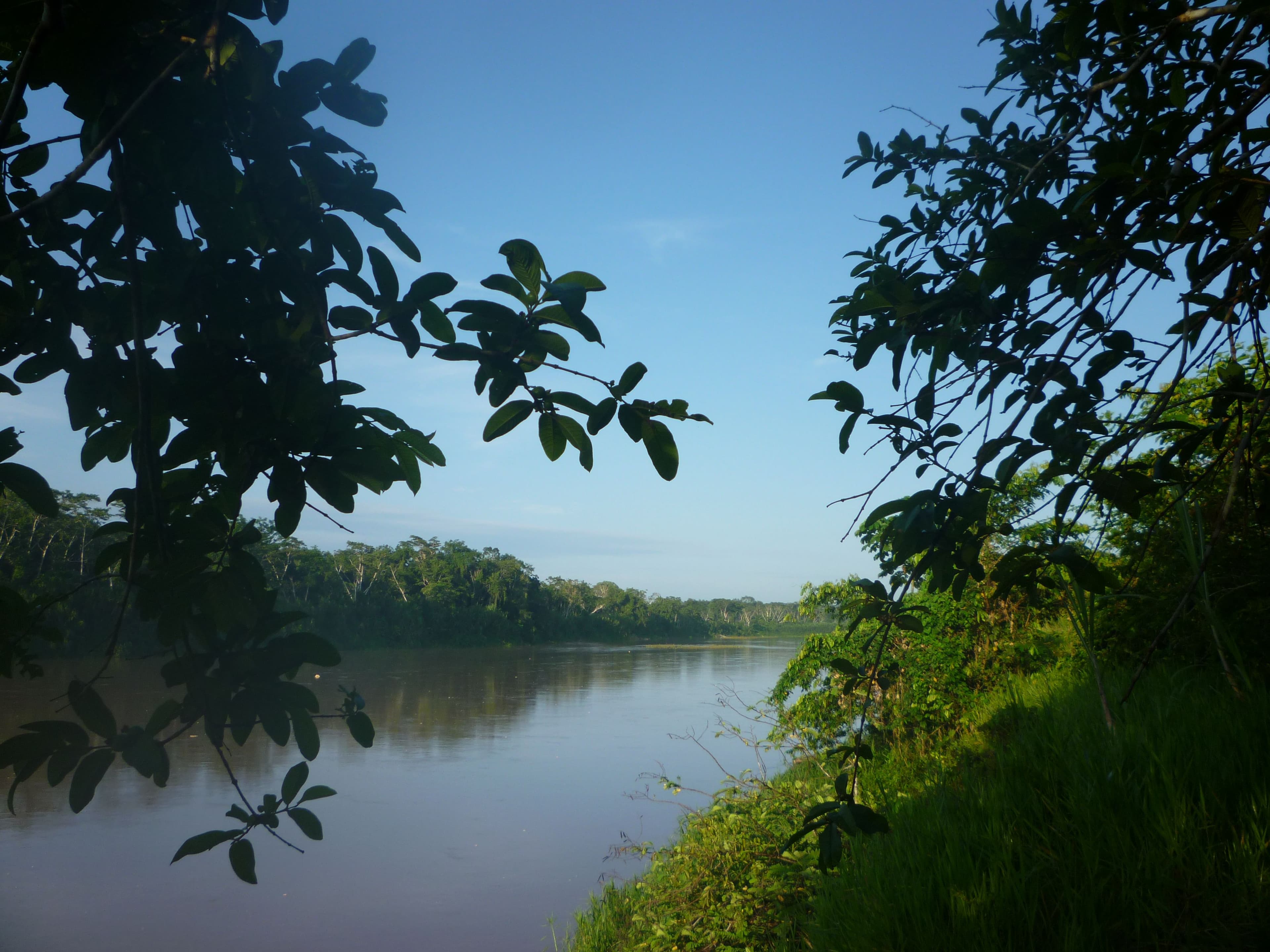 Purus River