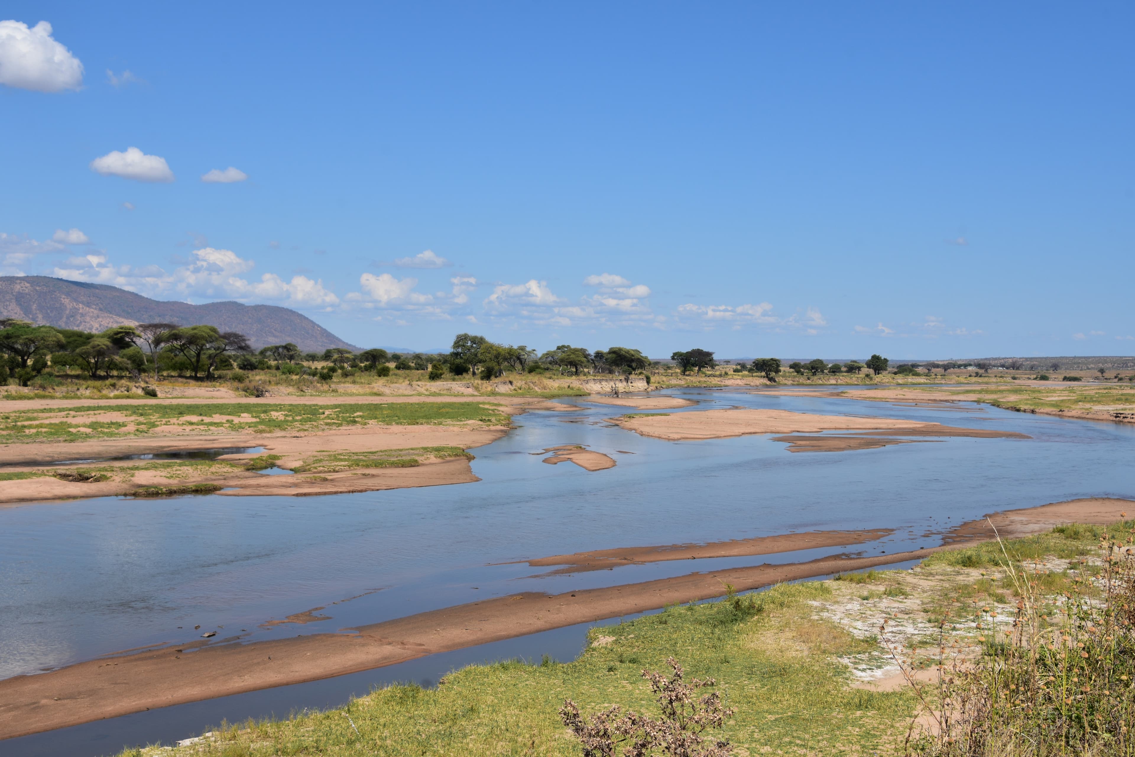 Ruaha National Park