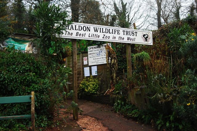 Shaldon Zoo