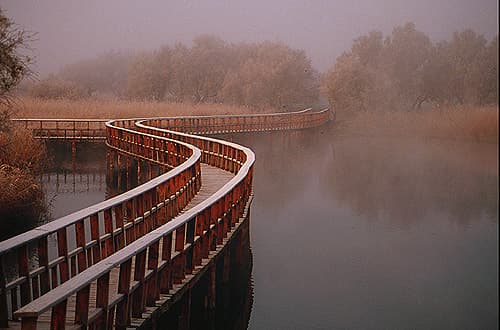 Tablas de Daimiel National Park