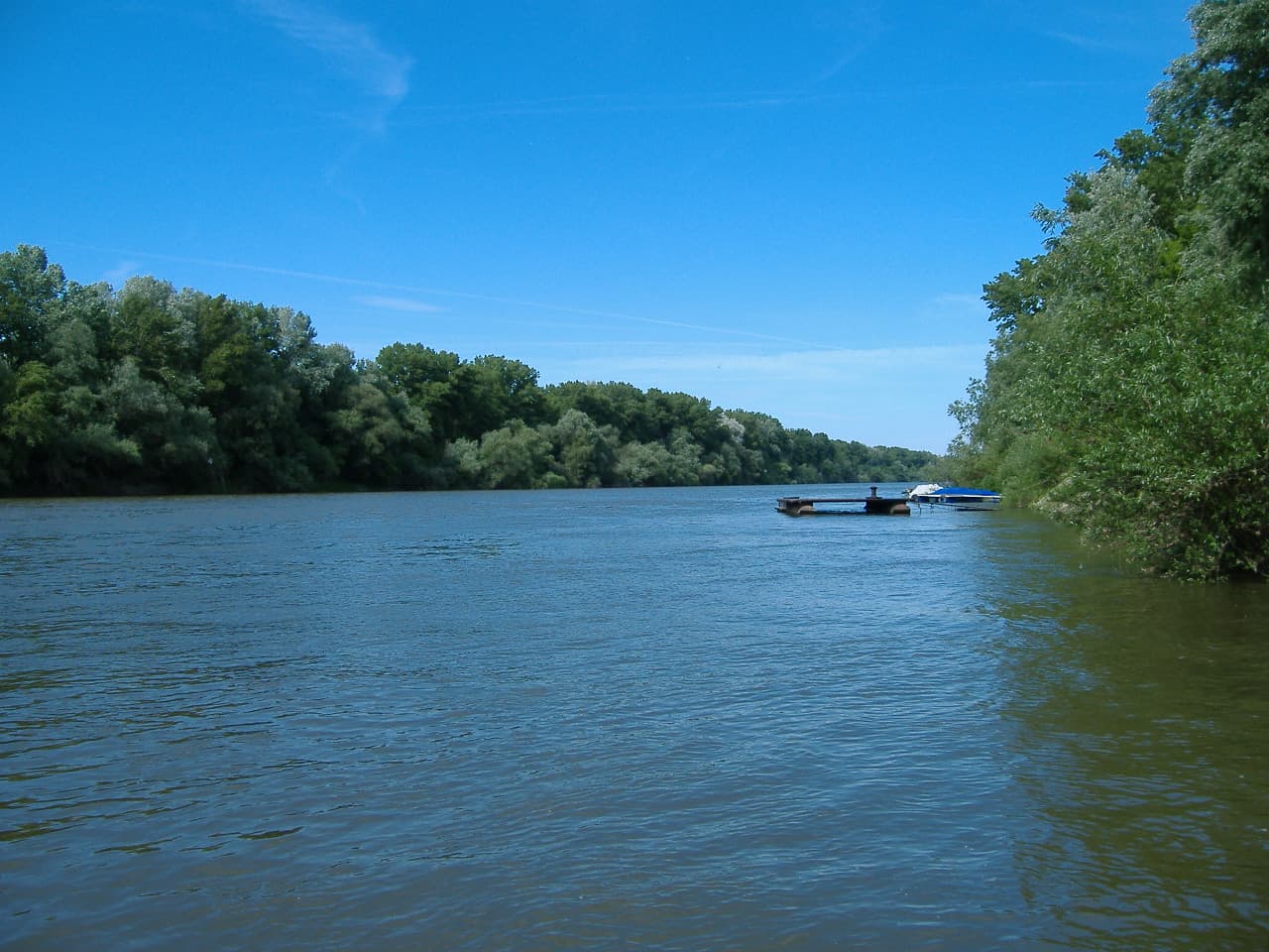 Tisza