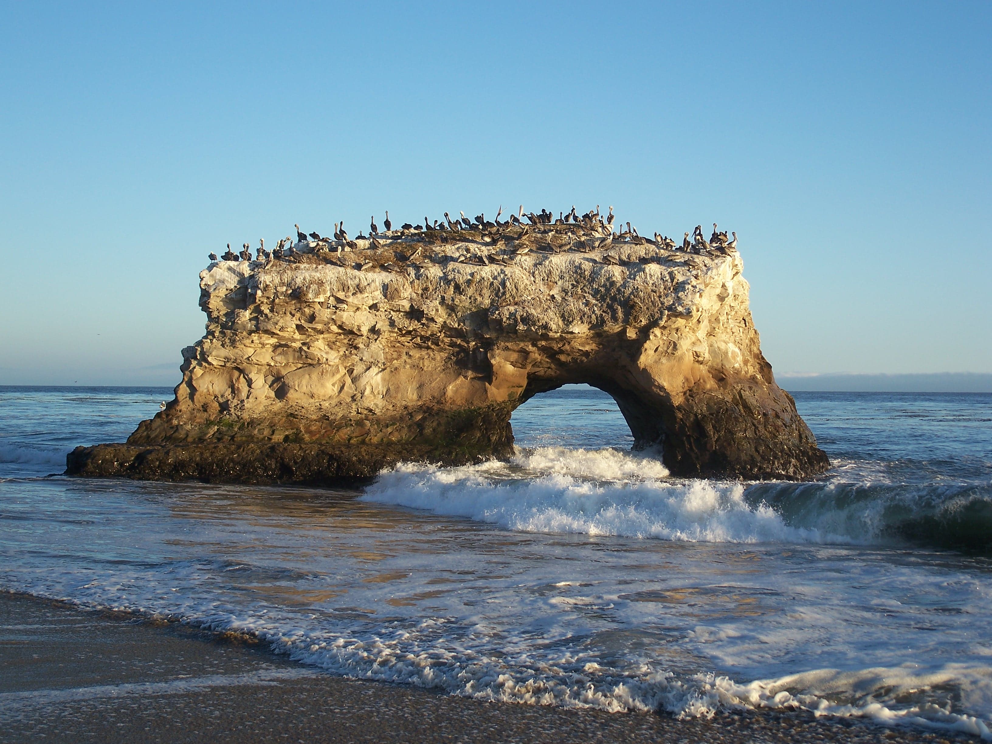 Natural Bridges State Beach