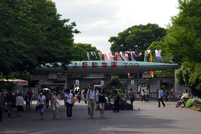 Ueno Zoo