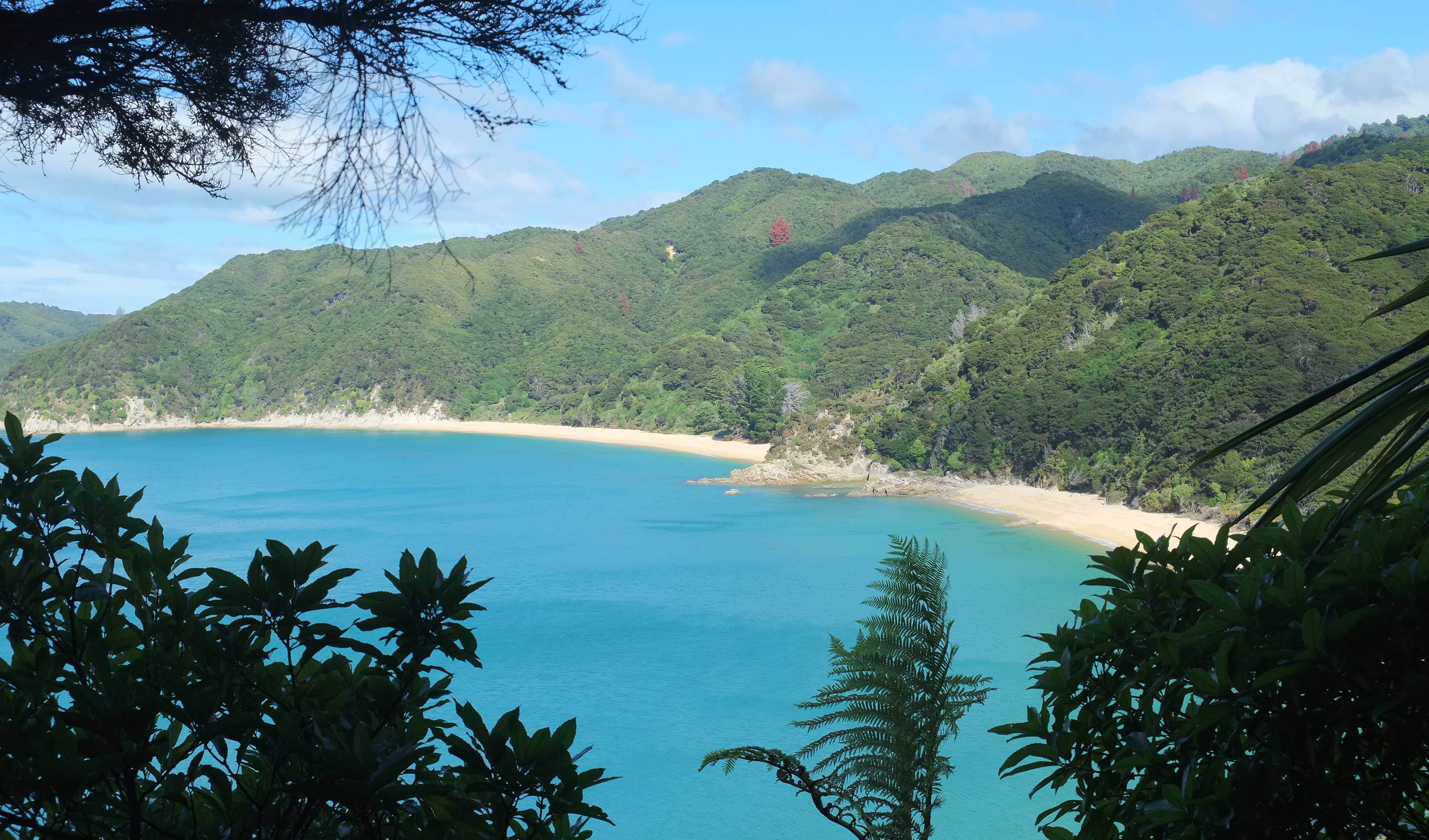 Abel Tasman National Park