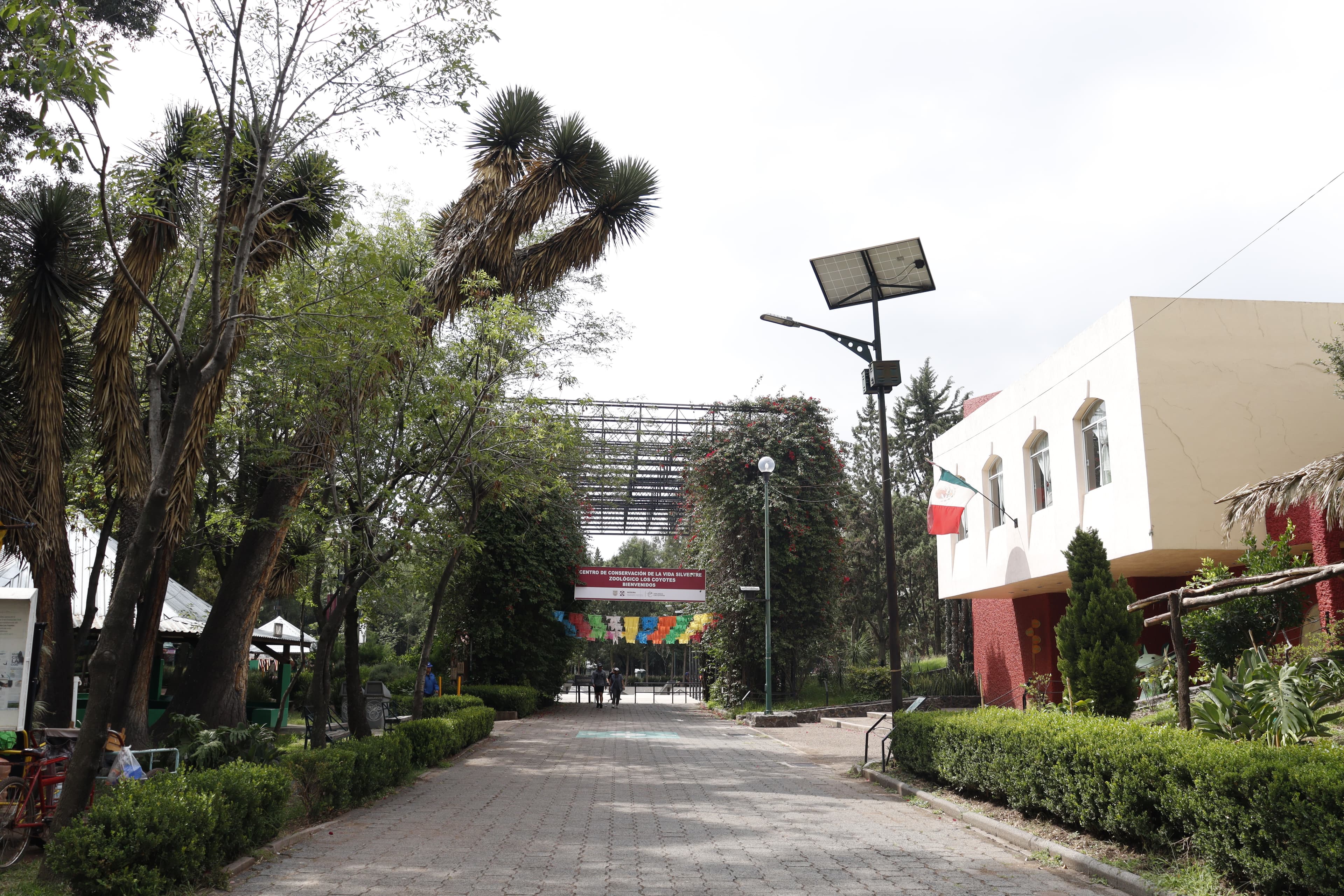 Zoológico Los Coyotes